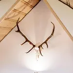 Podhalanska Ostoja Appartement Biały Dunajec